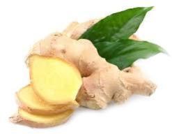 Fresh Ginger
