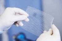 Surgical Mesh