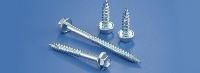Mild Steel Screw