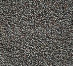 Black Mustard Seeds