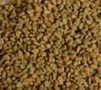 Fenugreek Seed