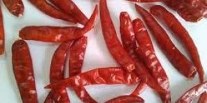 Teja S17 Dry Red Chilli