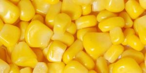 Frozen Sweet Corn
