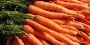Fresh Carrot