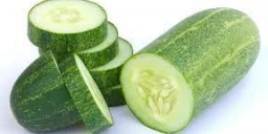 Fresh Cucumber