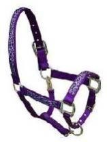 Halters