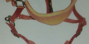 Horse Halter
