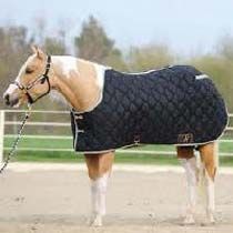 Horse Rugs