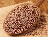 Masoor Pulses