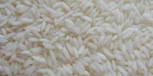 Sambha Steam Non Basmati Rice