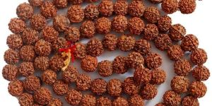 Five Mukhi Rudraksha Mala
