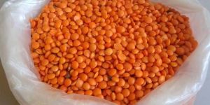 Indian Pulses