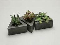 Concrete Planters