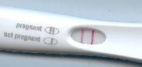 Pregnancy Kits