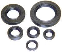 Engine Oil Seals