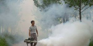 Pest Fumigation Service