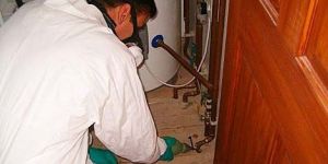 Herbal Pest Control Service