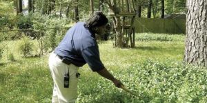 Vector  Control Service