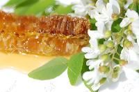 Acacia Honey