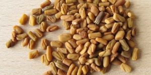 Fenugreek Seeds
