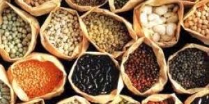 Indian Pulses