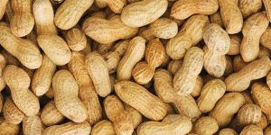 Shelled Peanuts