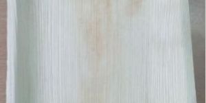 Areca Leaf Plate10/10 square