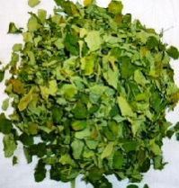 Moringa Dried Leaves