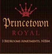 Real Estate Developer