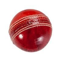 Cricket Leather Balls
