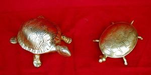 Brass Tortoise Statues