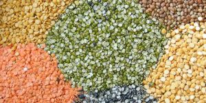 Indian Pulses