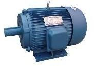 Three Phase Electric Motor