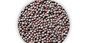 Black Mustard Seeds
