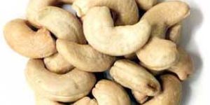 Cashew Nut