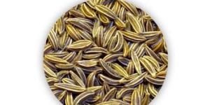 Cumin Seeds