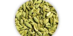 Fennel Seeds