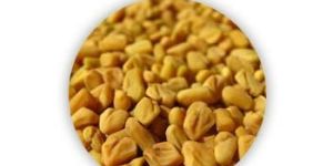 Fenugreek Seeds