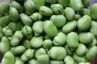 Broad Beans