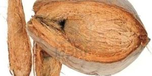 Semi Husked Coconut