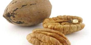 PECAN NUTS