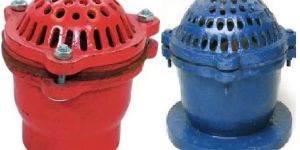 Casting Iron Foot Valve