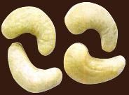 Cashew Nuts
