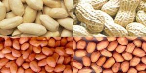 HPS Groundnut Kernels
