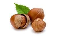 Hazelnuts