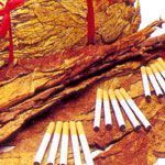 Guar Gum for Tobacco Industry