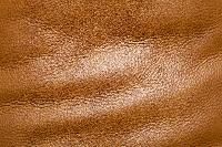 Leather Fabric