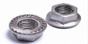Hex Flange Nuts