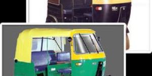 Auto Rickshaw Hood
