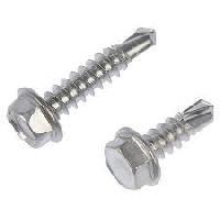 Stainless Steel Self Tapping Screw